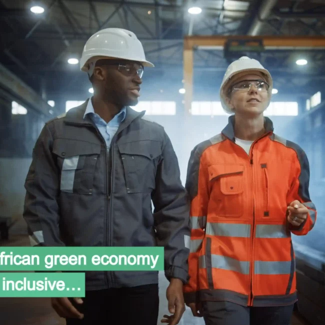 Greencape Explainer video by Warren MacCarthy